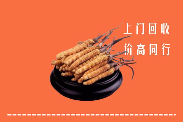 高价求购：德格县回收散虫草